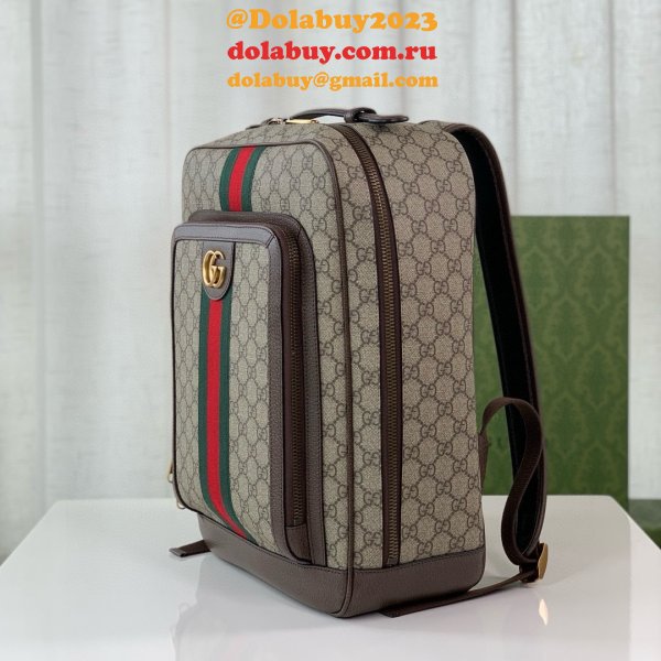 Top Quality gucci Ophidia GG backpack 745718