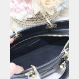 Top Quality Lady D-Sire My ABC Dior handbag