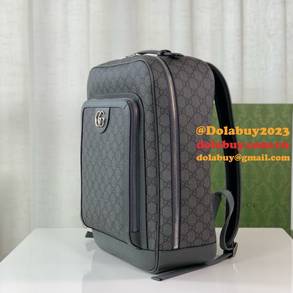 Top Quality gucci Ophidia GG backpack 745718