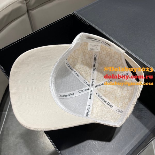 Wholesale Dior Replica AAA+ Hats Caps Outlet