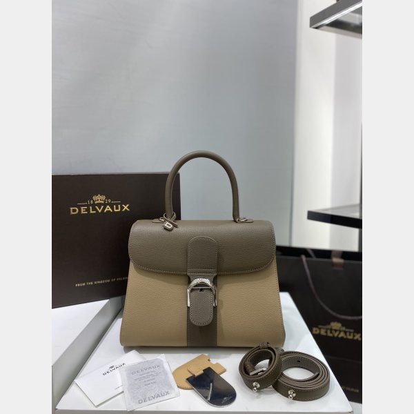 AAA+ Quality Delvaux 99125066 Brillant Replica Handbags